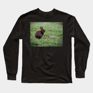 Sitting Bunny in Field Long Sleeve T-Shirt